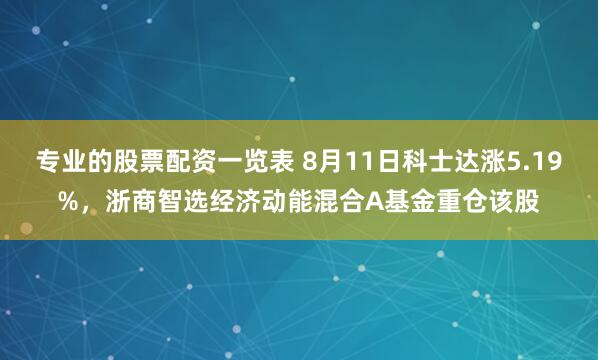 专业的股票配资一览表 8月11日科士达涨5.19%,浙商智选经济动能混合A基金重仓该股