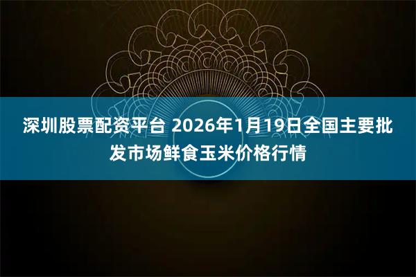 深圳股票配资平台 2026年1月19日全国主要批发市场鲜食玉米价格行情